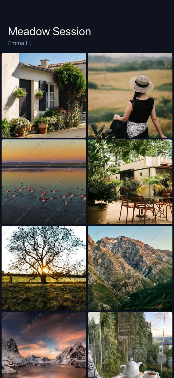 A client gallery in the Provgarde app: a grid of session photographs under the gallery title, each image carrying the diagonal identity watermark